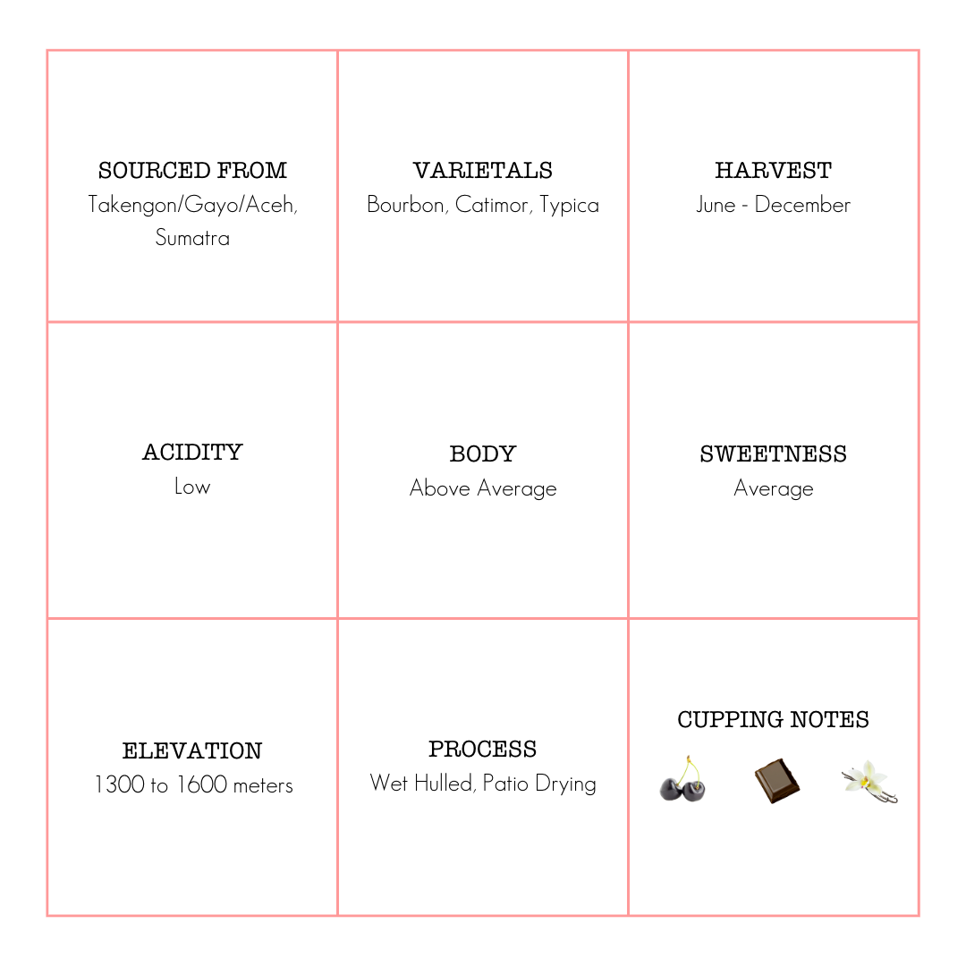 Sumatra Medium Roast Coffee