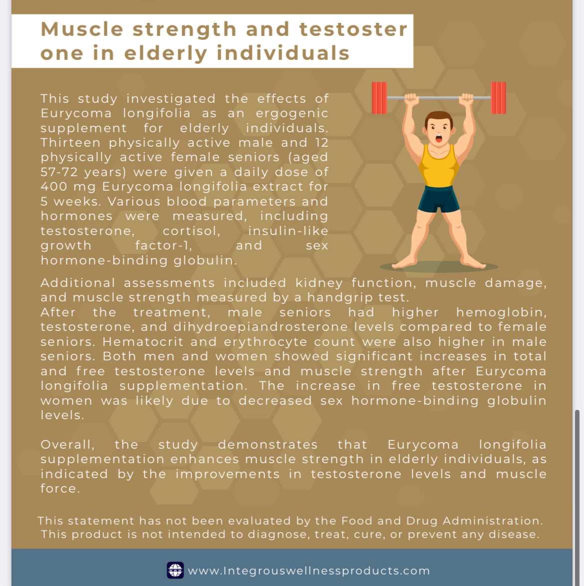 Mushroom Coffee (Black)