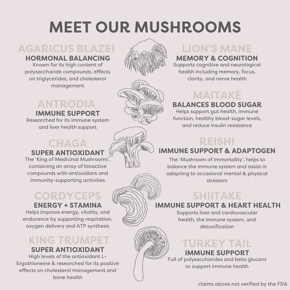 Organic Mushroom Blend